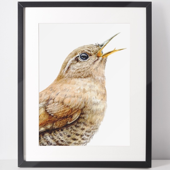 Watercolor Wall Art Wren Bird Illustration Print Poster Unframed - Picture 2 of 9